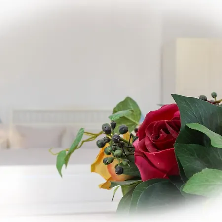 Gaestehaus Fortuna 아파트 제바트헤링스도르프